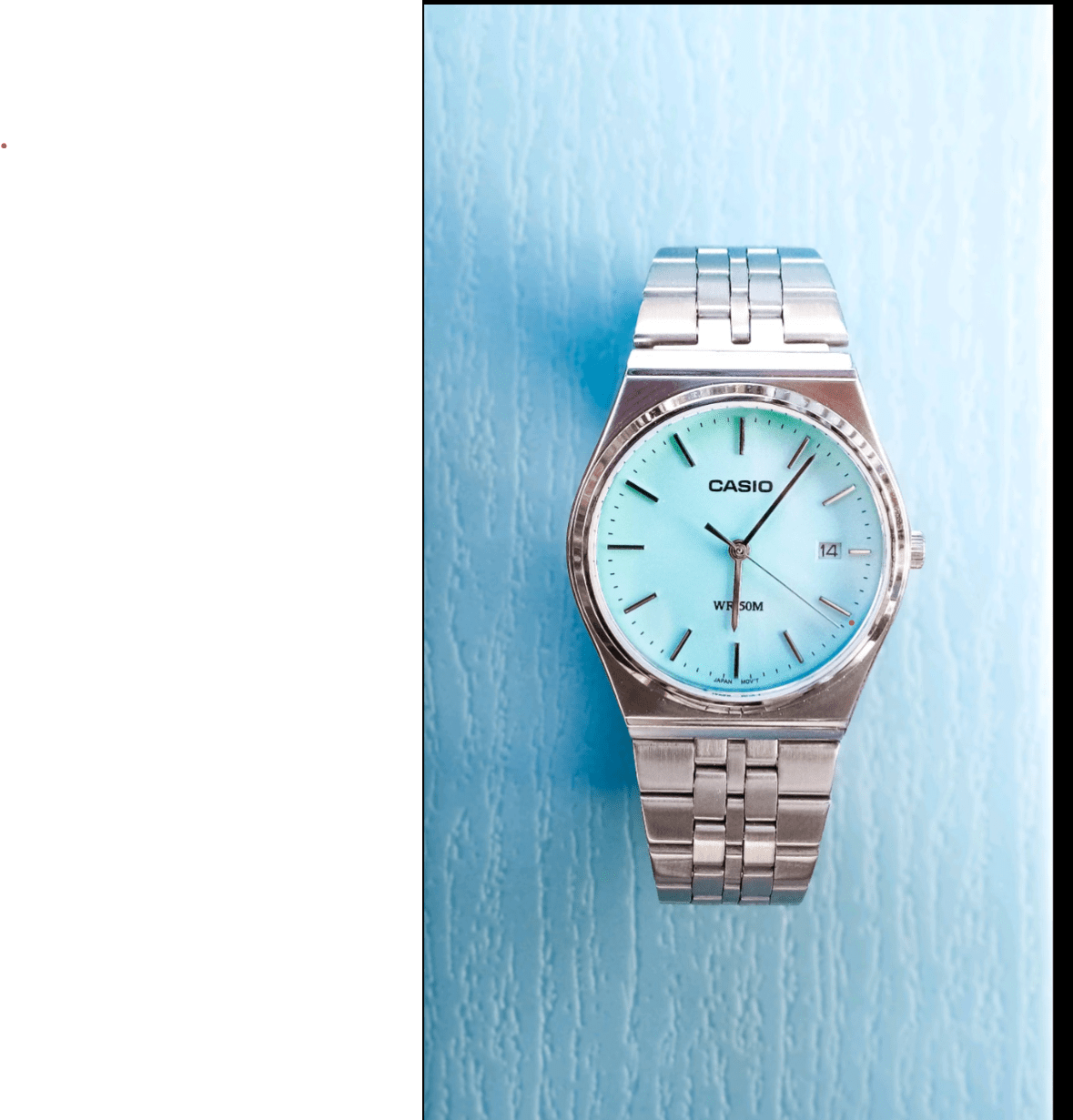 Casio Round Watch